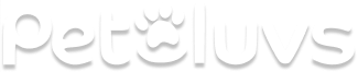 Vector